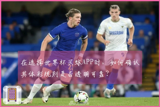 在选择世界杯买球APP时，如何确认其体彩规则是否透明可靠？