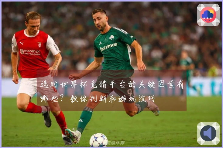 选对世界杯竞猜平台的关键因素有哪些？教你判断和避坑技巧