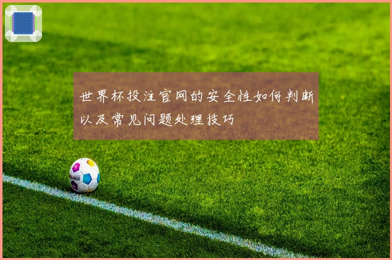 世界杯投注官网的安全性如何判断以及常见问题处理技巧
