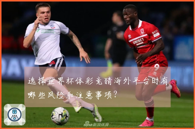选择世界杯体彩竞猜海外平台时有哪些风险和注意事项？