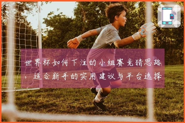 世界杯如何下注的小组赛竞猜思路，适合新手的实用建议与平台选择解析