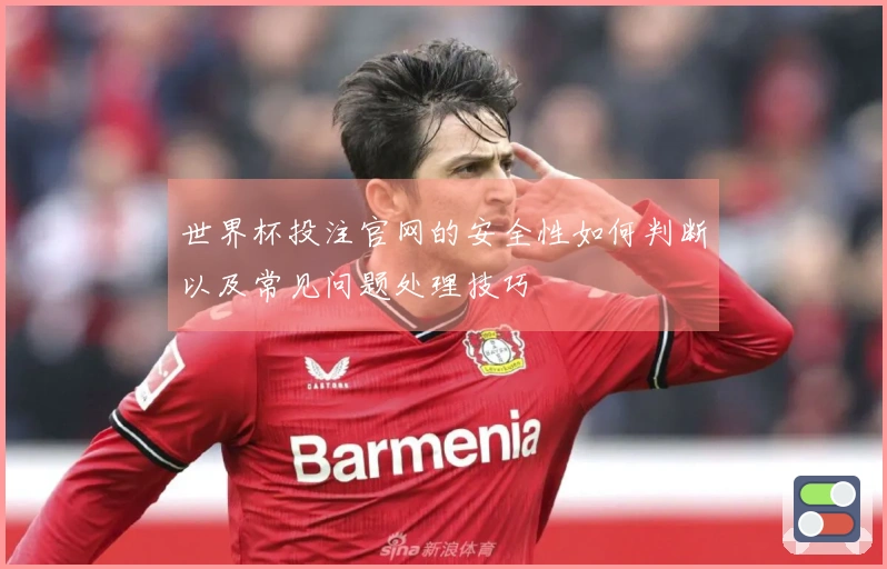世界杯投注官网的安全性如何判断以及常见问题处理技巧