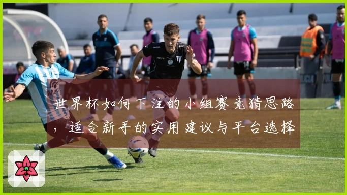 世界杯如何下注的小组赛竞猜思路，适合新手的实用建议与平台选择解析